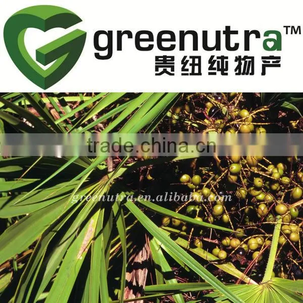 GMP Saw Palmetto Extract Powder