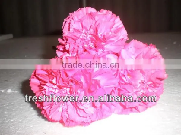 Christmas present of fresh flower named fresh carnation flower