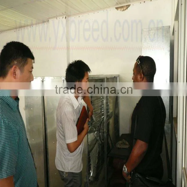 high effective poultry cooling fan