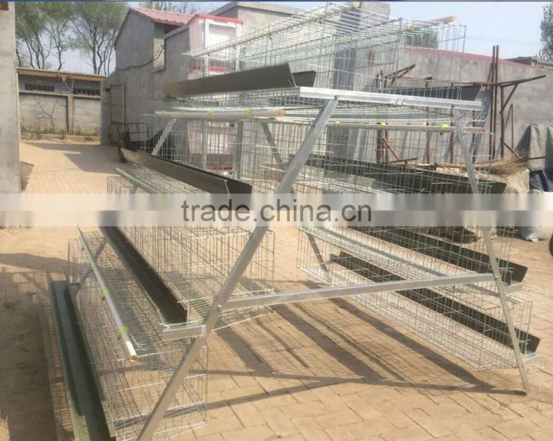 FRD 2016 Poultry farm equipment automatic battery design chicken egg layer cages /bird cage for sale/decorative bird cages