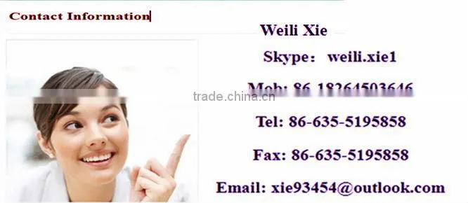 Casting tee bolt/T-casting with bolt and washer/Ss-bolt and ss-washer