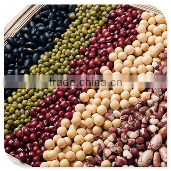 CE commercial soybean soya milk grinder maker machine