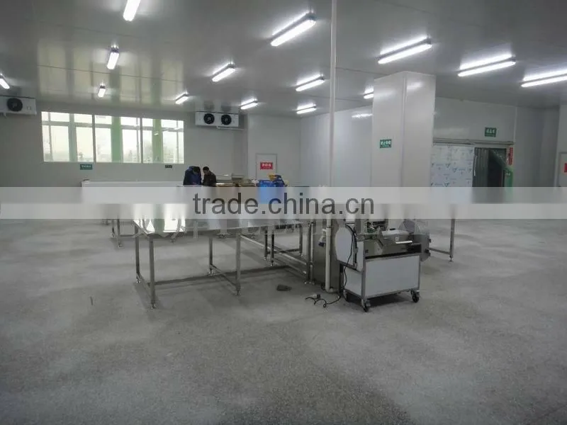Zhuhai vegetables processing and distribution center for Hong Kong and Macao
