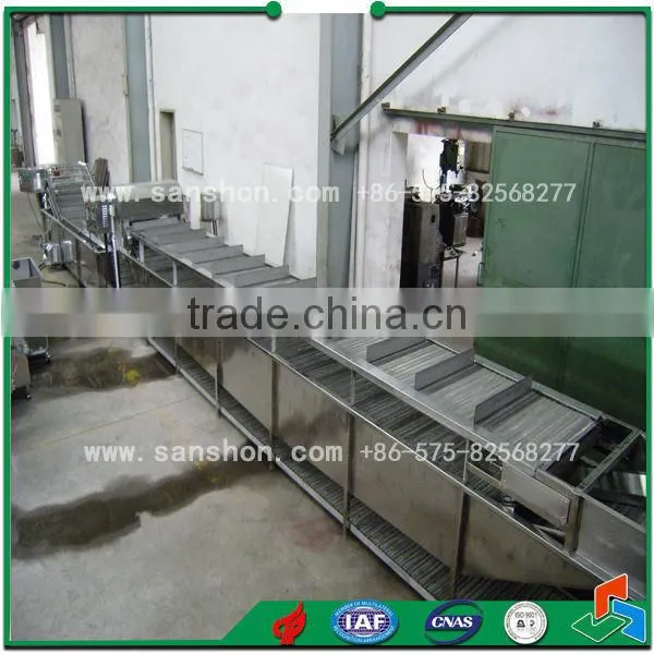 fruit&vegetable chain type blanching machine