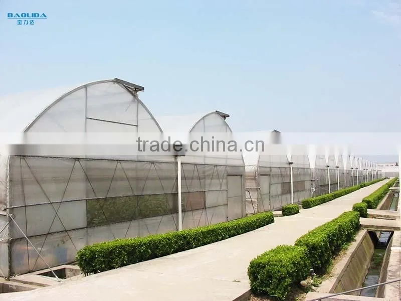 Commercial Greenhouse used