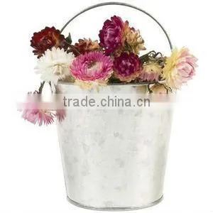 galvanized anti-rust fruit colander
