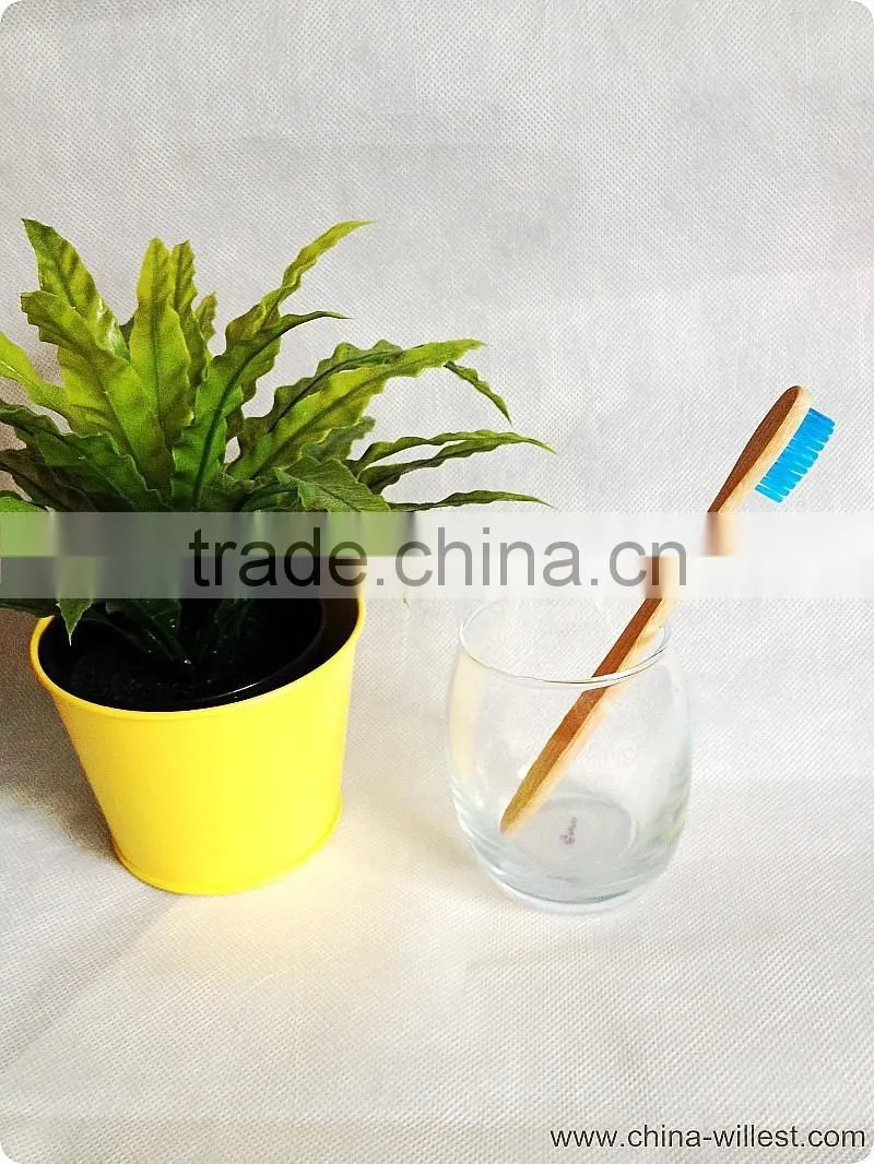 blue color bamboo toothbrush, soft bristle toothbrush