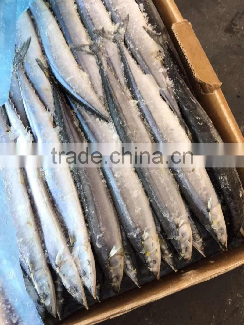 Seafood Frozen Fish Pacific Saury