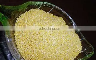 chinese millet (yellow or white color)