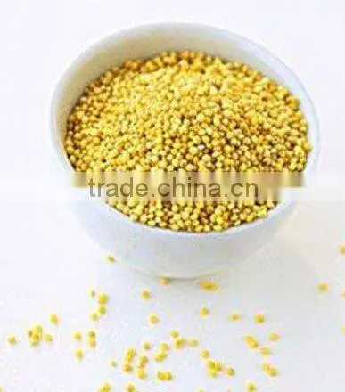 organic hulled millet