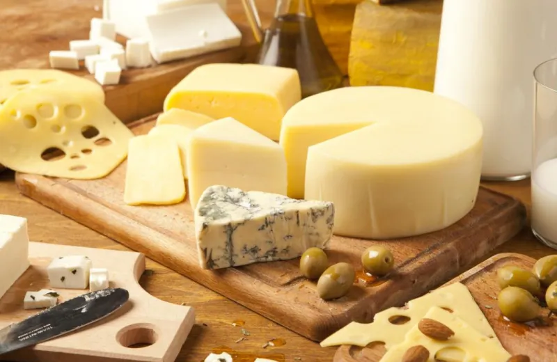 Factory Genyond Cheese Making Machine Cheese Vat Press Cooker Stretcher Maker Equipment Mozzarella Cheese Production Line