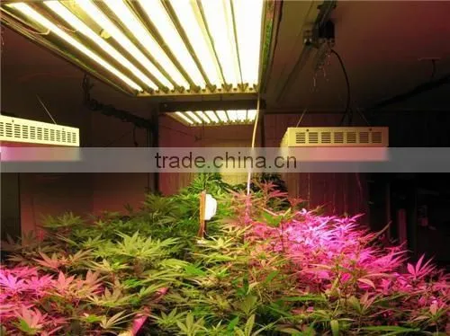 CE Approved Bridgelux Chips LED RGB RGBW Full Spectrum Plant Grow Light