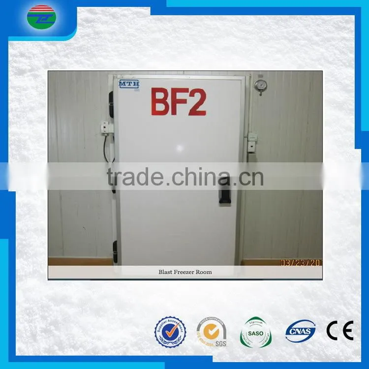 New product high-ranking fruits cold storage/cold room fruit storage/room
