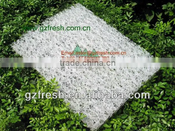 Transparent Biochemistry Filter Mat/filter mat for cheap sale(manufacture)