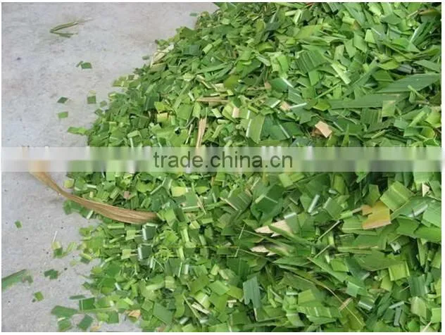 Cattle/sheep feed chaff cutter for hay