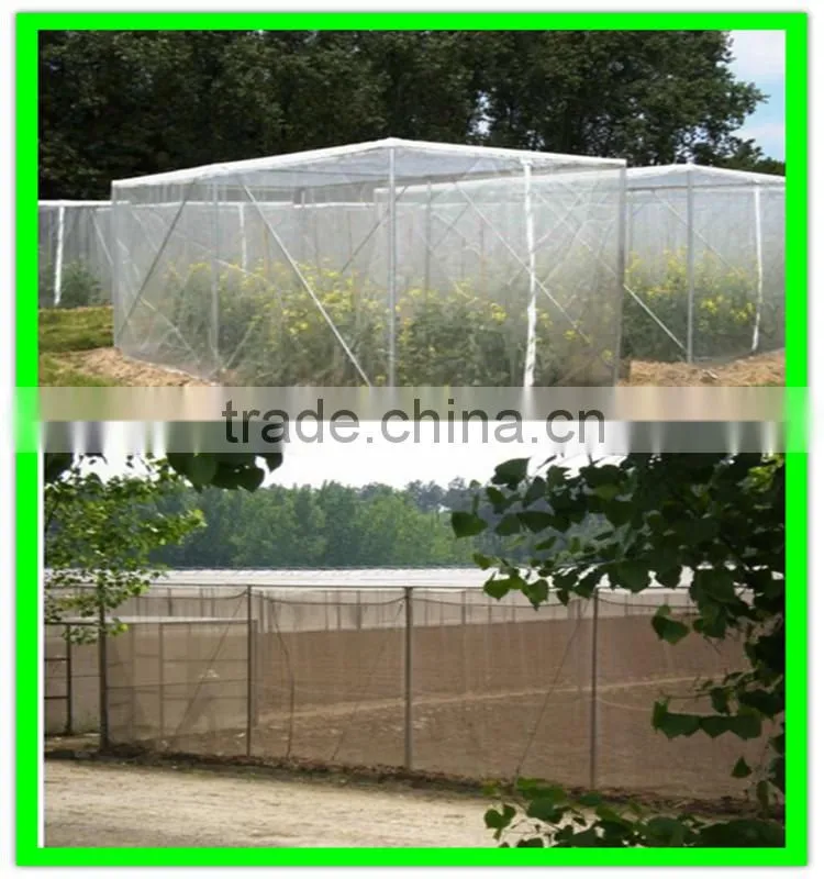 high quality greenhouse insect proof net window netting