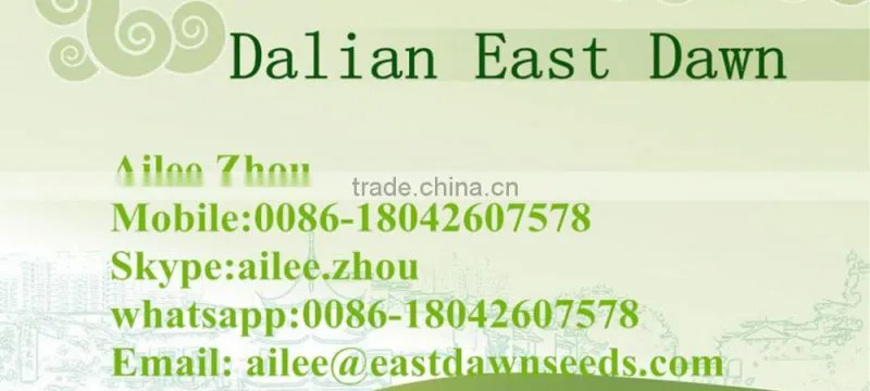 Roasted Sunflower Oil Sunflower Seeds Price For Sale