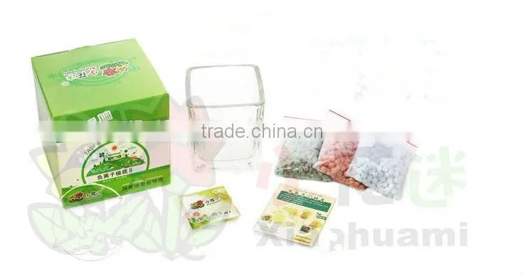Anion mini plant,Creative promotion gifts