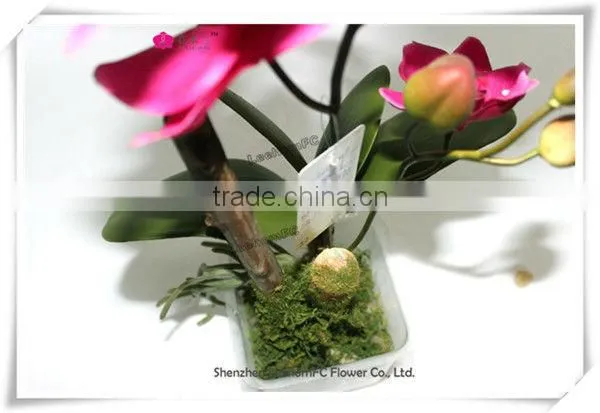 Real Touch Phalaenopsis Orchids Pink Table Flower Centerpieces