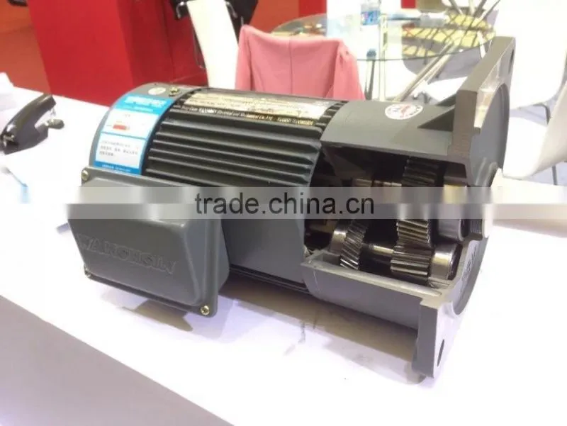 Induction AC Gear Motor with Gear Reducer
