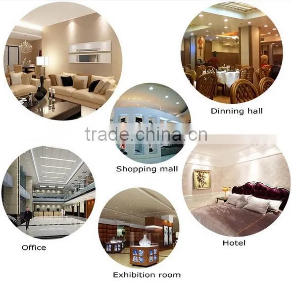 CE&RoHS Certification Outdoor Waterproof 7W Led Downlight