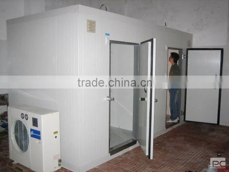 customized flower cold room freezer