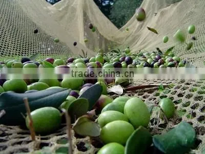 Agriculture HDPE Hexagon 55GSM Olive Net - Yellow / 60301-55