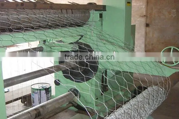 lowest price galvanized hexagonal wire mesh for chicken