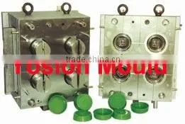 plastic thin wall mould (thin wall cup mould0