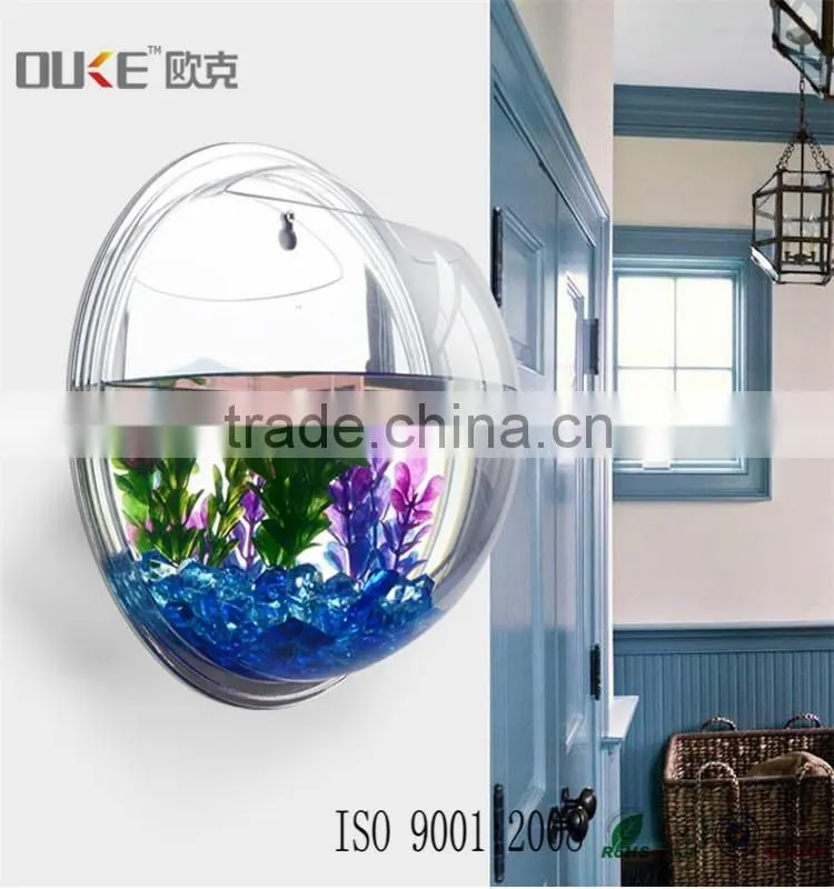 morden design wall mounted high transparent acrylic fish or plant display wholesale