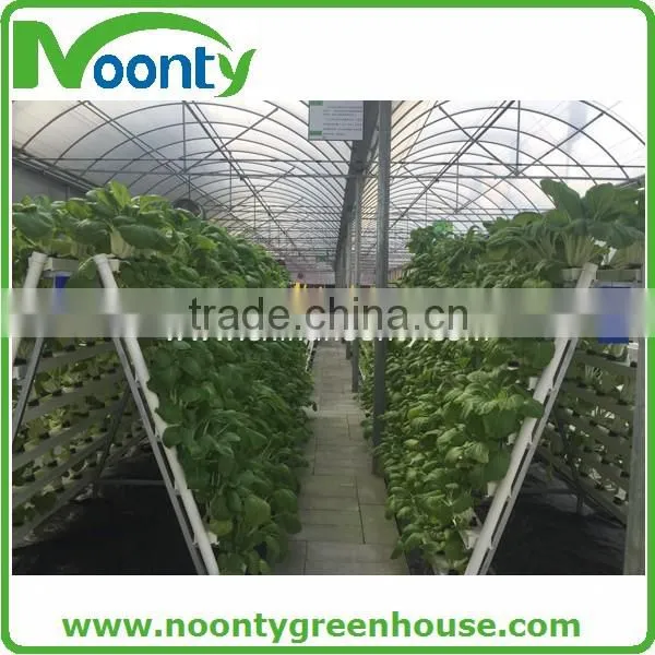 Economical Tunnel Greenhouse