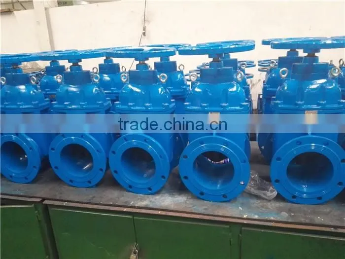 DIN Standard F4 Gate Valve
