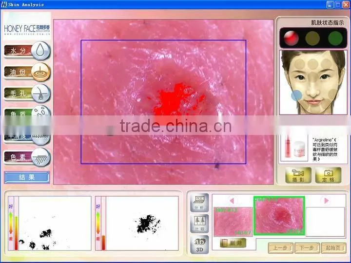 2013 Beauty salon/home use touch screen beauty care equipment skin diagnosis purpose BD-P006