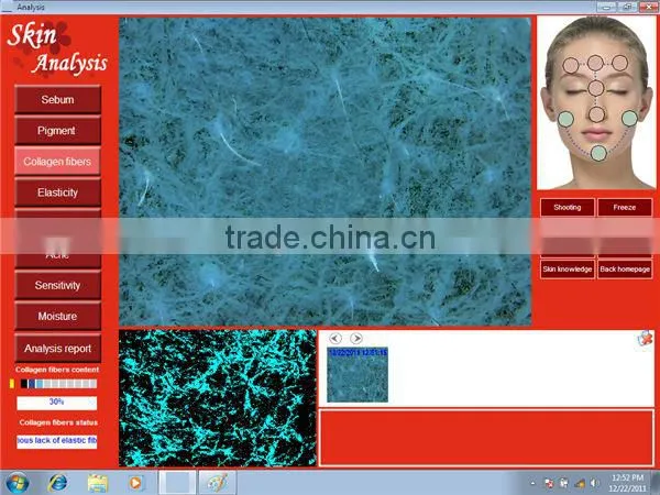 Salon and Home Skin Analyser 3D Facial Skin Analyzer Machine