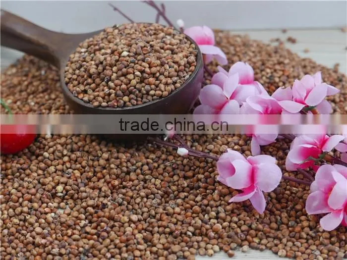 2016 non-GMO Organic glutinous red sorghum sticky sorghum