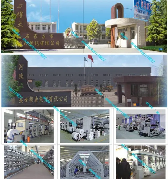Hebei Shengshi Jintang Packaging Co company overview - view 1