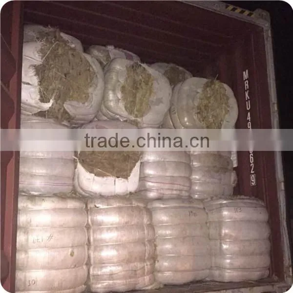 Good white Greasy raw sheep wool use for Carpet