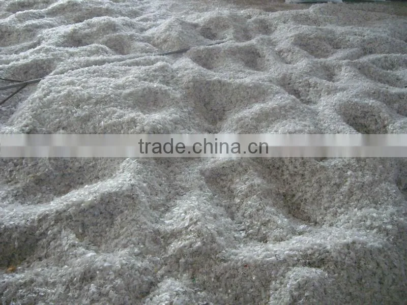 Recycled fiber grade PET chips washed