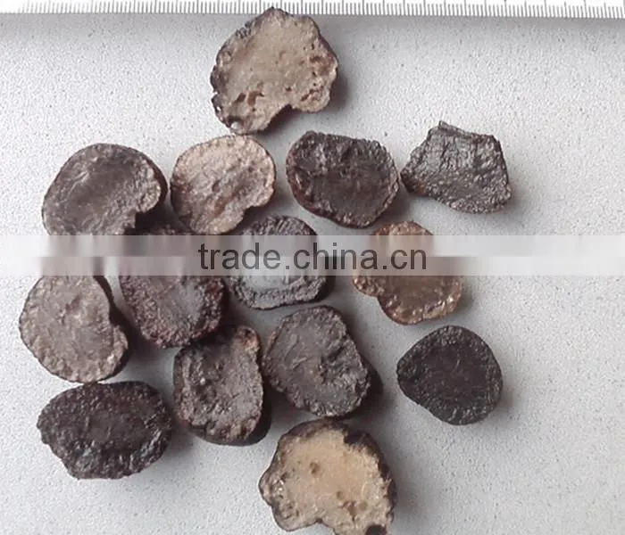 best price frozen truffle (Tuber indicum)