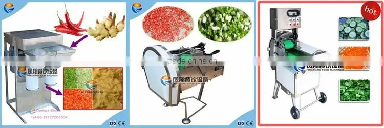 Comercial Garlic Peeler, Garlic Clove/Shallot Skin Peeling Machine with CE Certificate