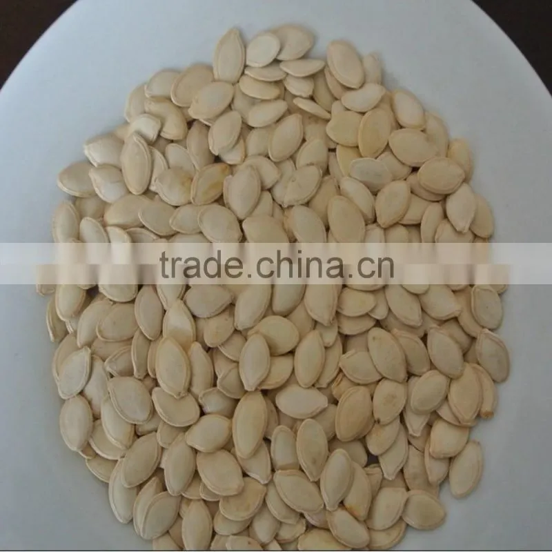Shine skin pumpkin seeds 8-9cm, 9-10cm, 10up