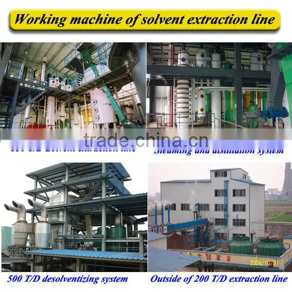 Reliable supplier cottonseed oil solvent extraction machine