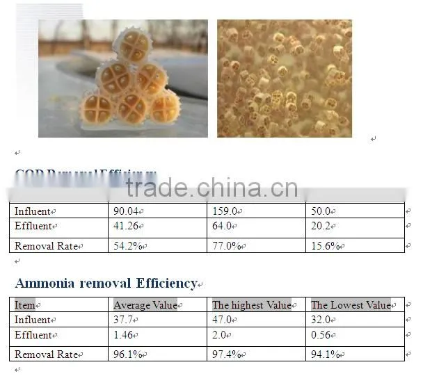 2015 High Quality Plastic BioCarrier, MBBR Carrier