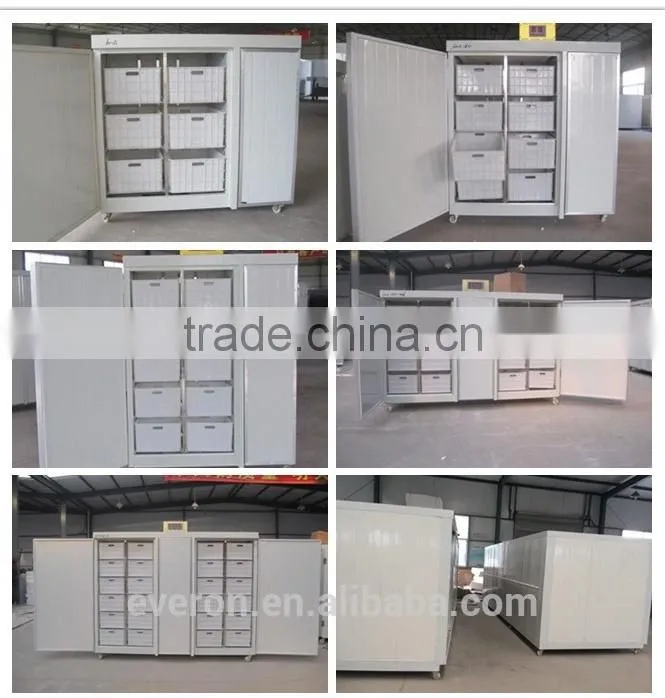Best Selling Automatic Bean Sprout Machine/soya bean sprout machine