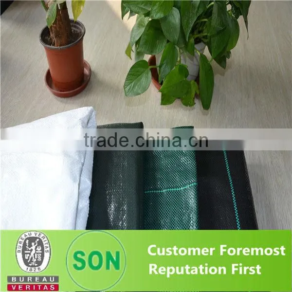 Plastic weed mat