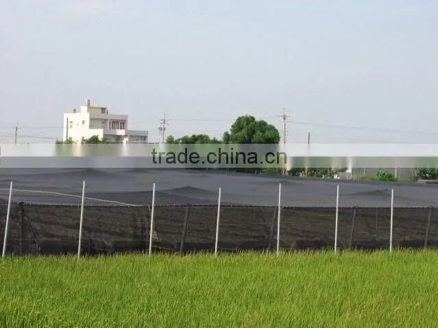 HDPE Green sun shade net for agriculture