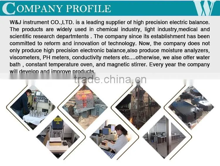 Analysis Instruments OIML passed weight