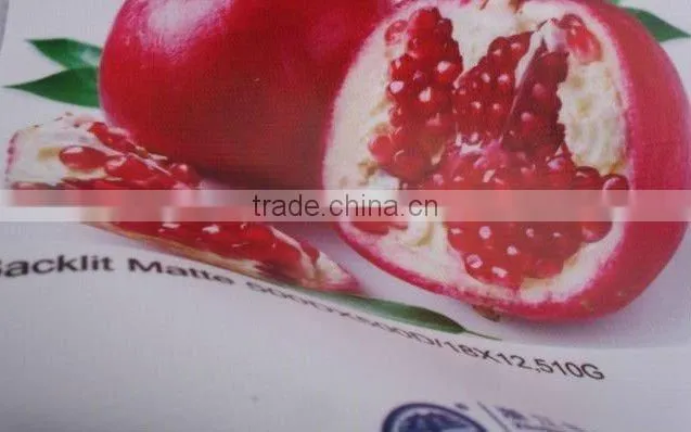 17oz frontlit flex banner 1000*1000 20*20