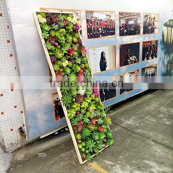indoor decoration artificial mini succulent plants wall