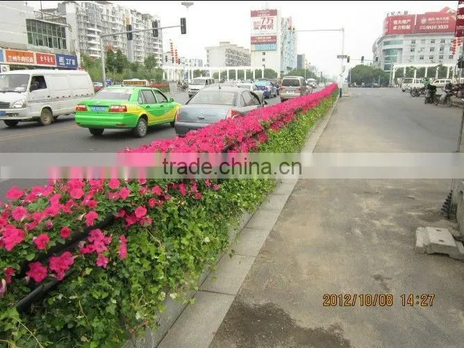 SOL 2015 eco-friendly saddle shaped planter plastic pot flower planter